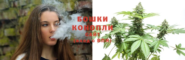 ГАЛЛЮЦИНОГЕННЫЕ ГРИБЫ Арсеньев